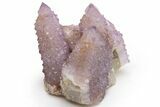 Cactus Quartz (Amethyst) Crystal Cluster - South Africa #237403-1